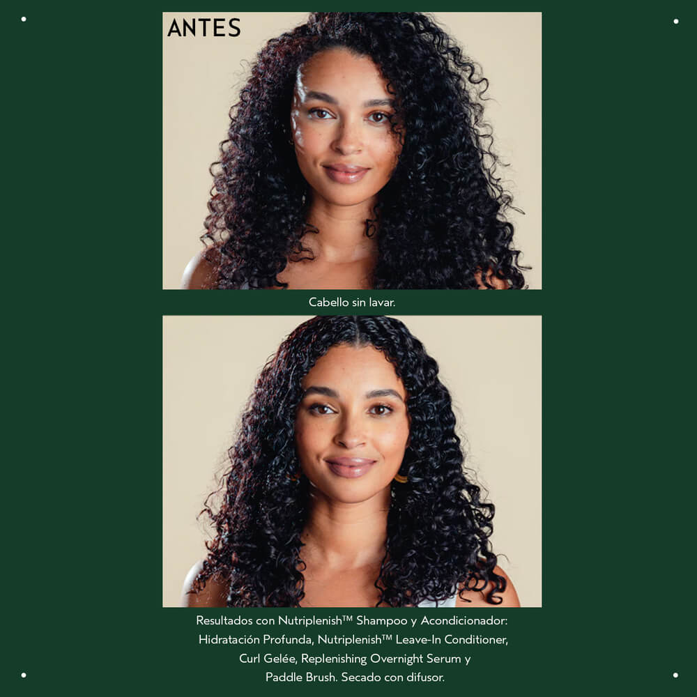 NUTRIPLENISH&trade; CURL GEL&Eacute;E (GEL DE PEINADO REPARADOR DE RIZOS)